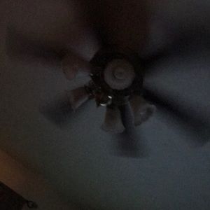 Meet your Posher, Tracey